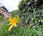 Vanzare casa-vila Brasov BRASOV Centrul Vechi