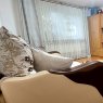 Vanzare apartament  camere Brasov BRASOV Noua 214243