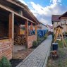 Vanzare casa-vila Brasov Sacele  219495