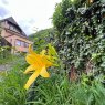 Vanzare casa-vila Brasov BRASOV Centrul Vechi