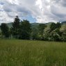 Vanzare teren rezidential Brasov Bran  237119